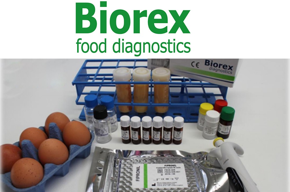 BXEFB36A ELISA Packege from Biorex