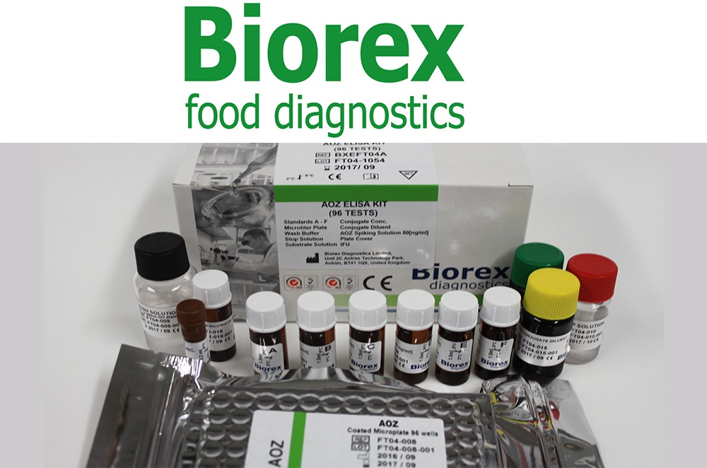 BXEFT04A ELISA Packege from Biorex