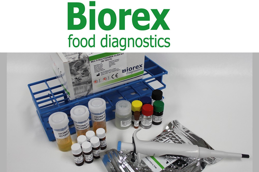BXEFT08A ELISA Packege from Biorex