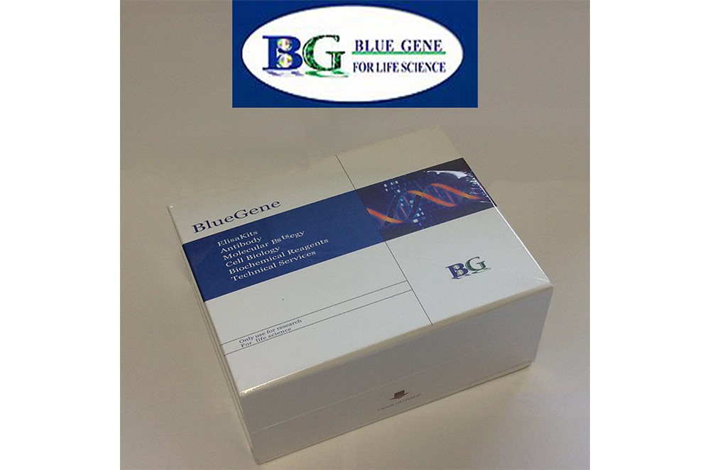 ELISA kit package from Bluegene BG