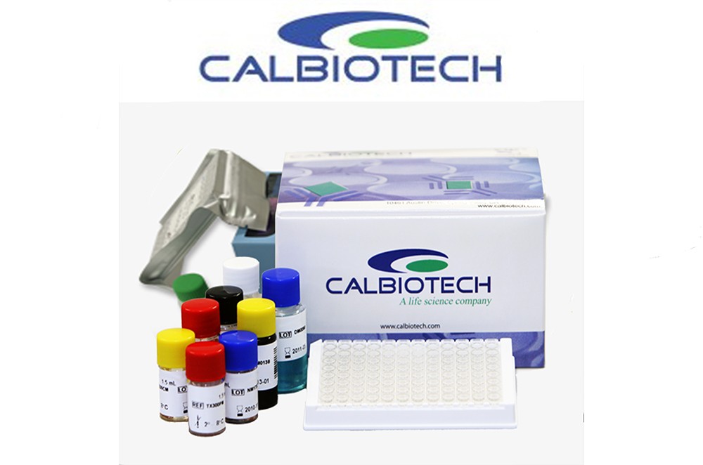 Preview ELISA Kit package from Calbiotech