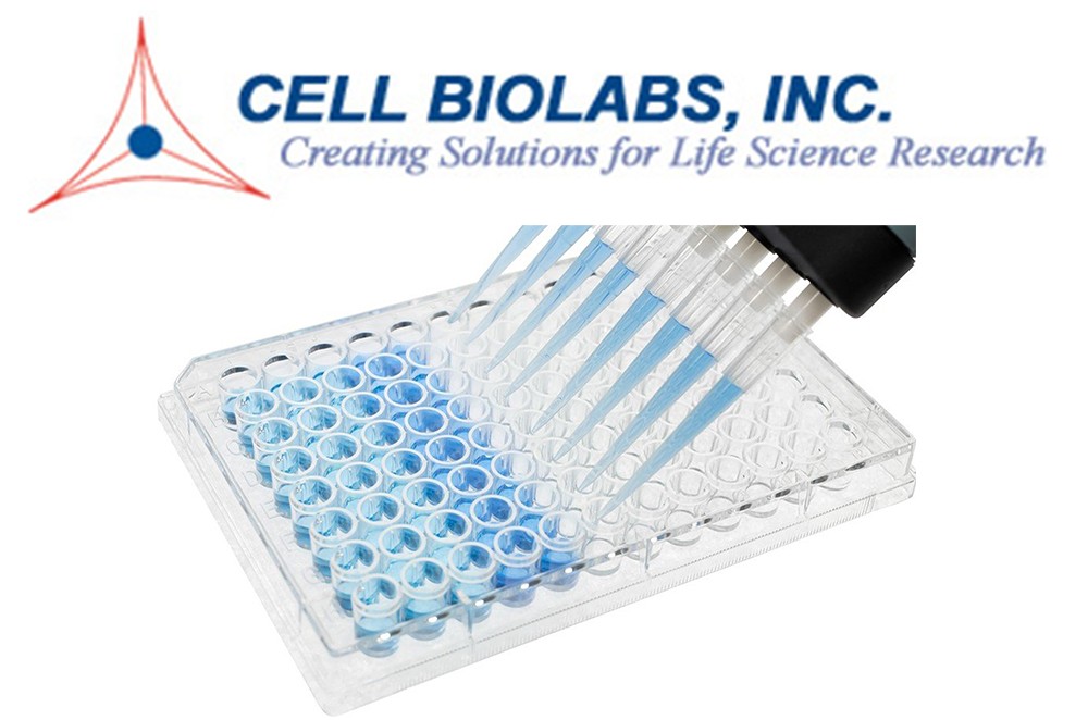 STA-337-1 ELISA Packege from Cell Biolabs Inc.