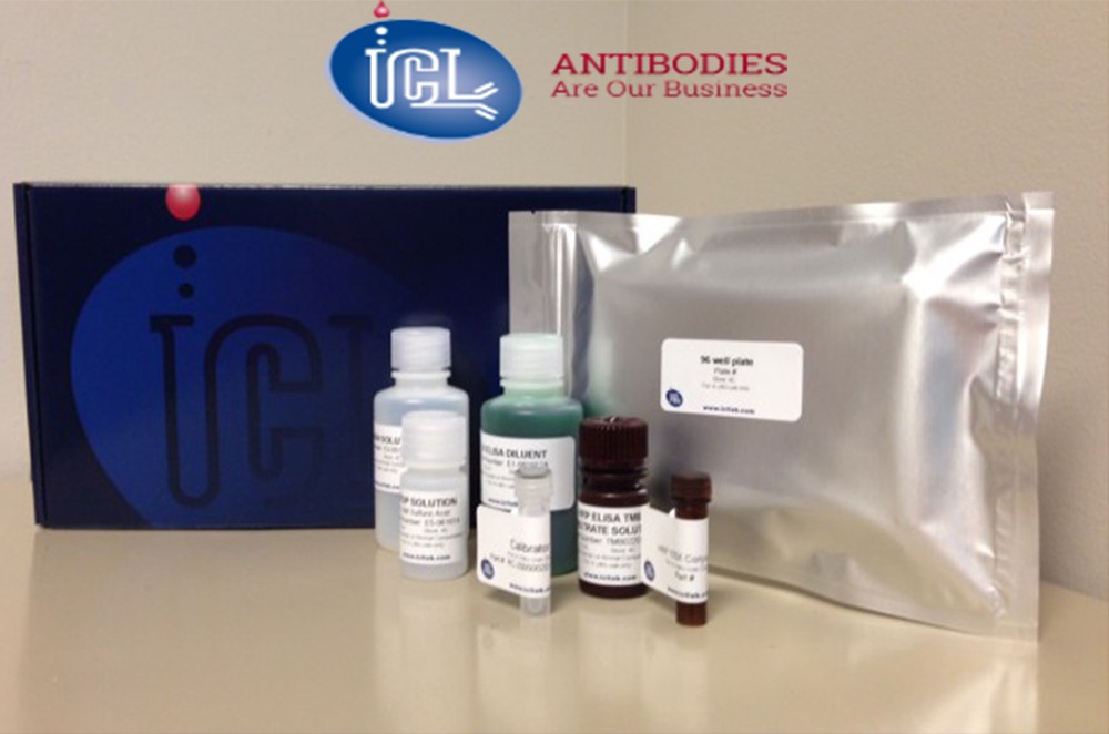 Preview ELISA Kit package from ICL (Immunology Consultants Laboratory)