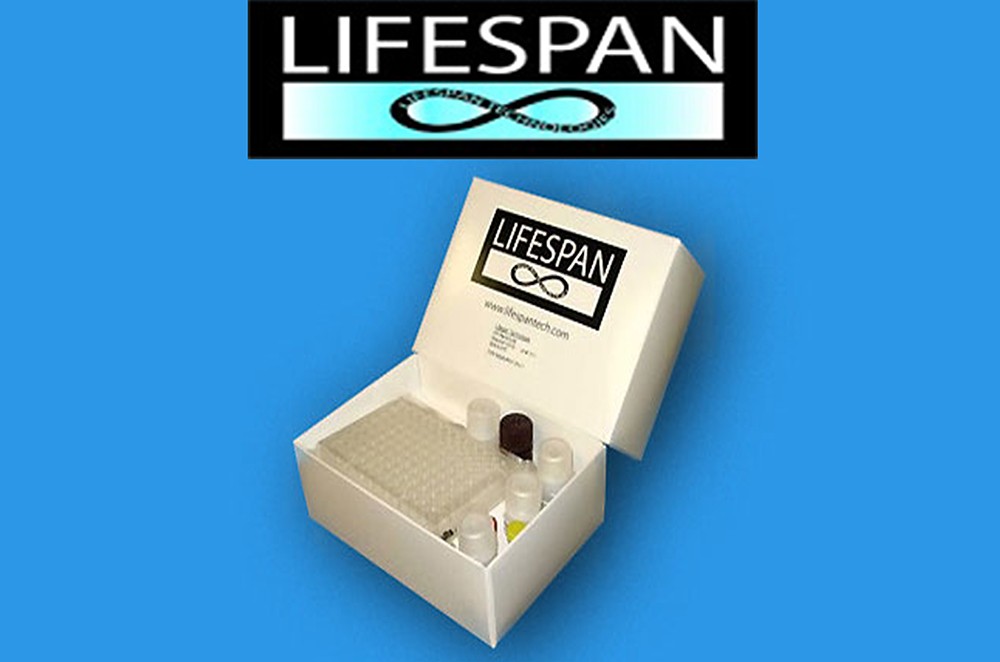 ELISA kit package from Lifespan