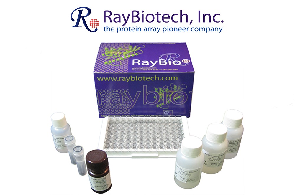 ELISA kit package  from Raybiotech