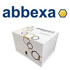 Preview ELISA Kit Package from Abbexa