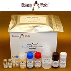 Preview ELISA Kit Package from Bioassay Works