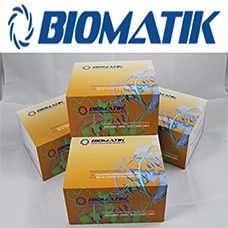 Preview ELISA kit package from Biotek