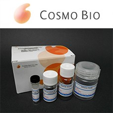 Preview ELISA Packege from Cosmobio