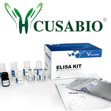 Preview ELISA Kit package from Cusabio