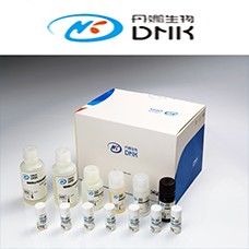 Preview ELISA Kit package from Dynamiker Biotechnology