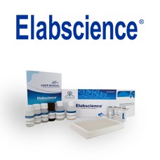  3-NT (3-Nitrotyrosine) ELISA Kit