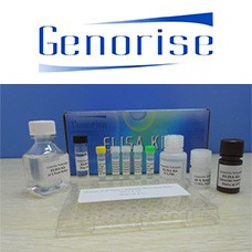 GSI Mouse Erythropoietin ELISA Kit  