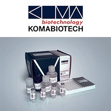 Cytokine ELISA Combo Kit 