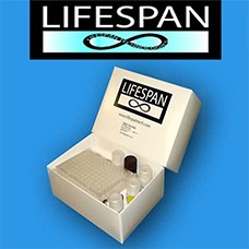 Preview ELISA kit package from Lifespan