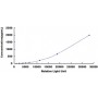 Standard Calibration Curve: CLIA Kit for Alpha-1-Microglobulin/Bikunin Precursor (a1M)