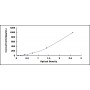 Standard Calibration Curve: ELISA Kit for Colony Stimulating Factor 2, Granulocyte Macrophage (GMCSF)