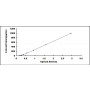 Standard Calibration Curve: ELISA Kit for Interferon Beta (IFNb)