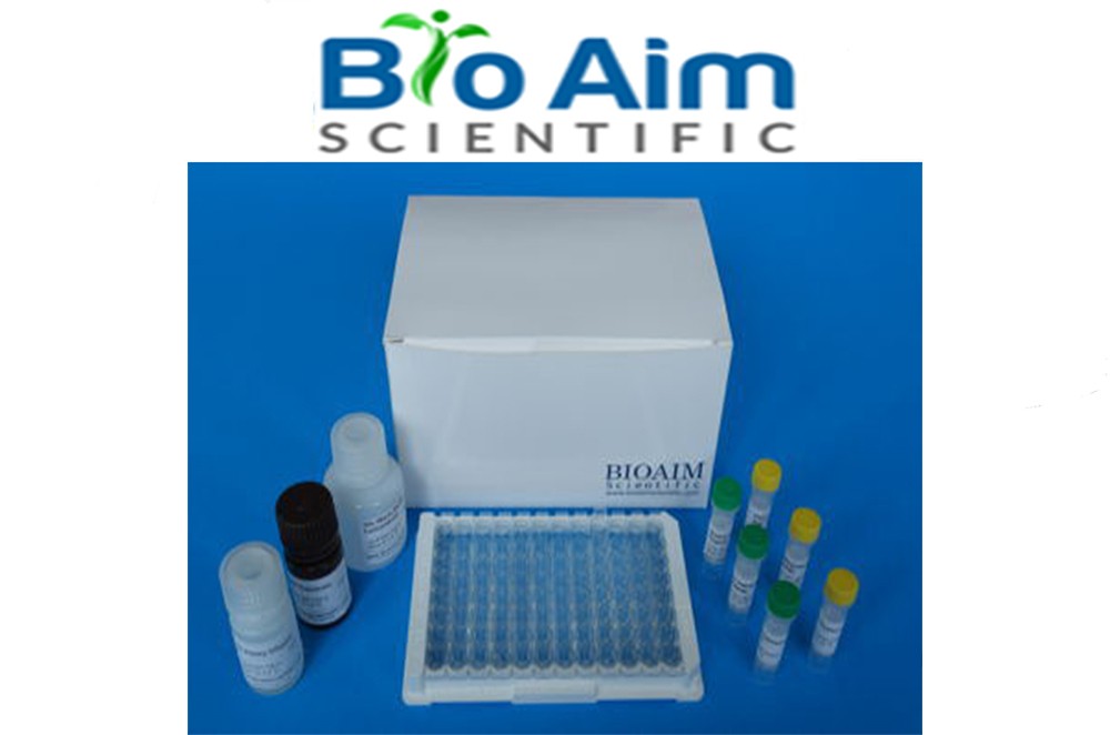 Preview ELISA Kit package from BioAim