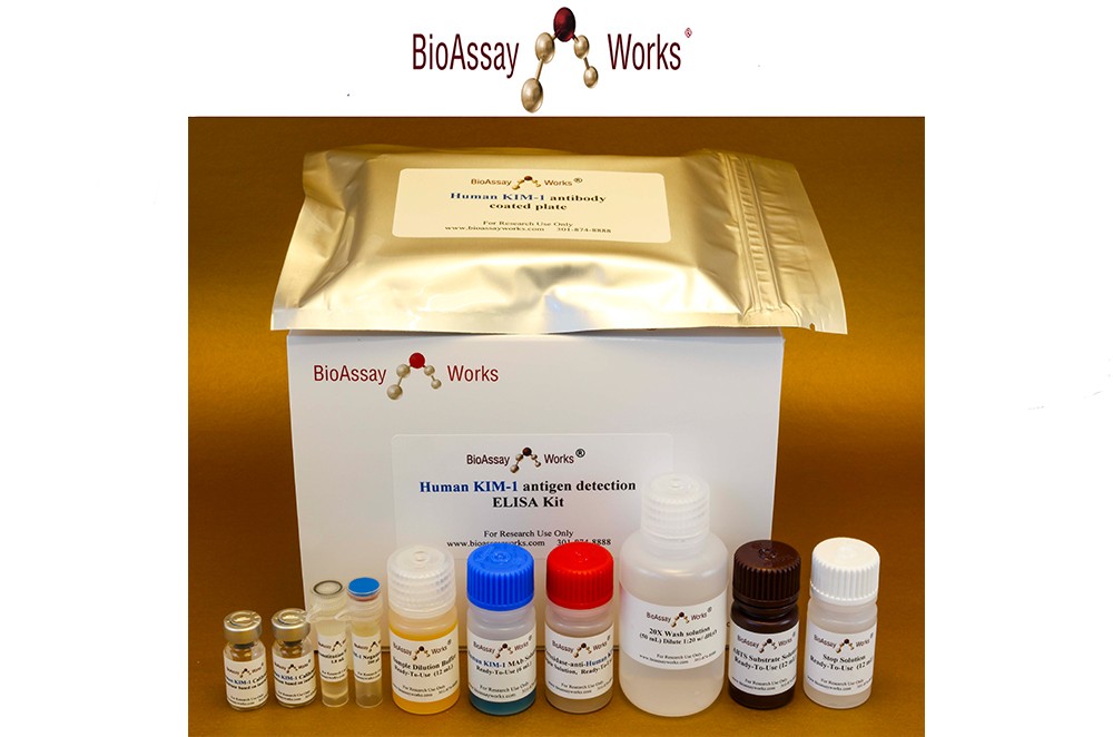 ELISA Kit Package from Bioassay Works