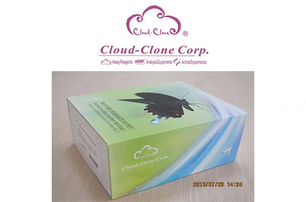 ELISA Kit from Cloude Clone