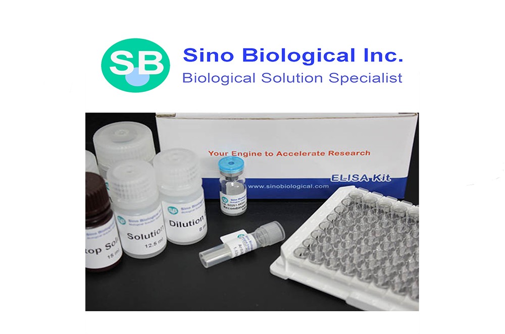 ELISA Kit package from Sino Biological