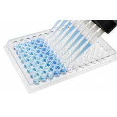 DNTP-Thiols (h, m, r microplate)