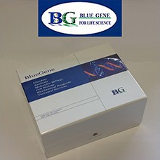 Preview ELISA kit package from Bluegene BG