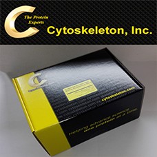 Preview ELISA kit from Cytoskeleton