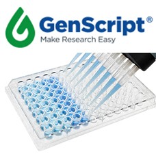 L00417 Preview ELISA Packege from Genscript