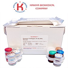 Preview ELISA Kit package from Kamiya Biomedical
