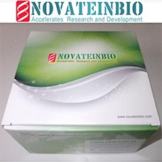 Preview ELISA Kit package from Novateinbio