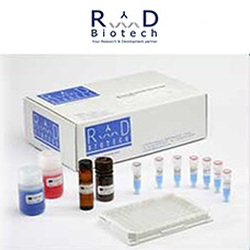 Preview ELISA Kit package from R&D Biotech
