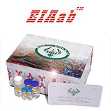 Preview ELISA Kit package from Wuhan Eiaab Science Co.